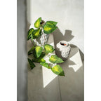 Die trendige Vase - Beton - M