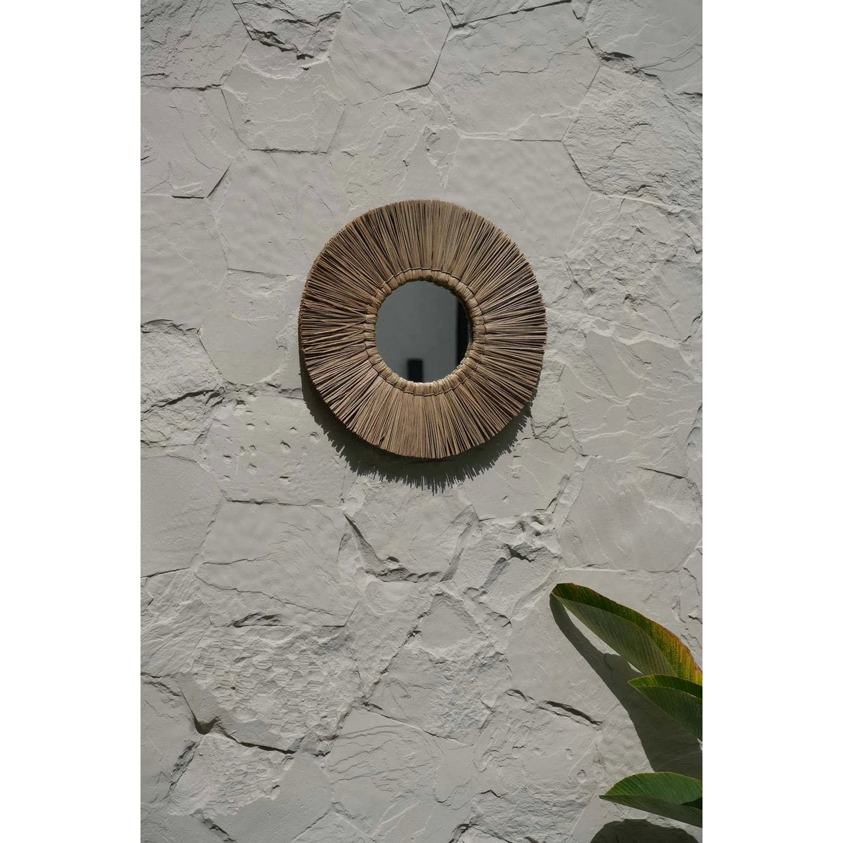 Der Alang Alang Spiegel – Natur – M