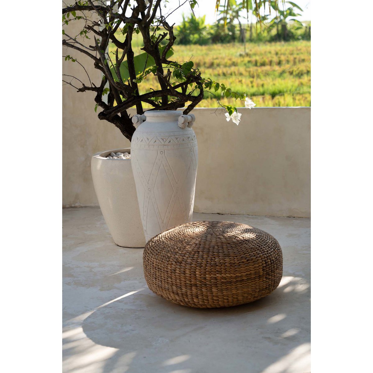 Der Hyazinthen-Hocker – Natur – M