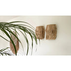 Die Abaca-Wandapplikation – Natur – S